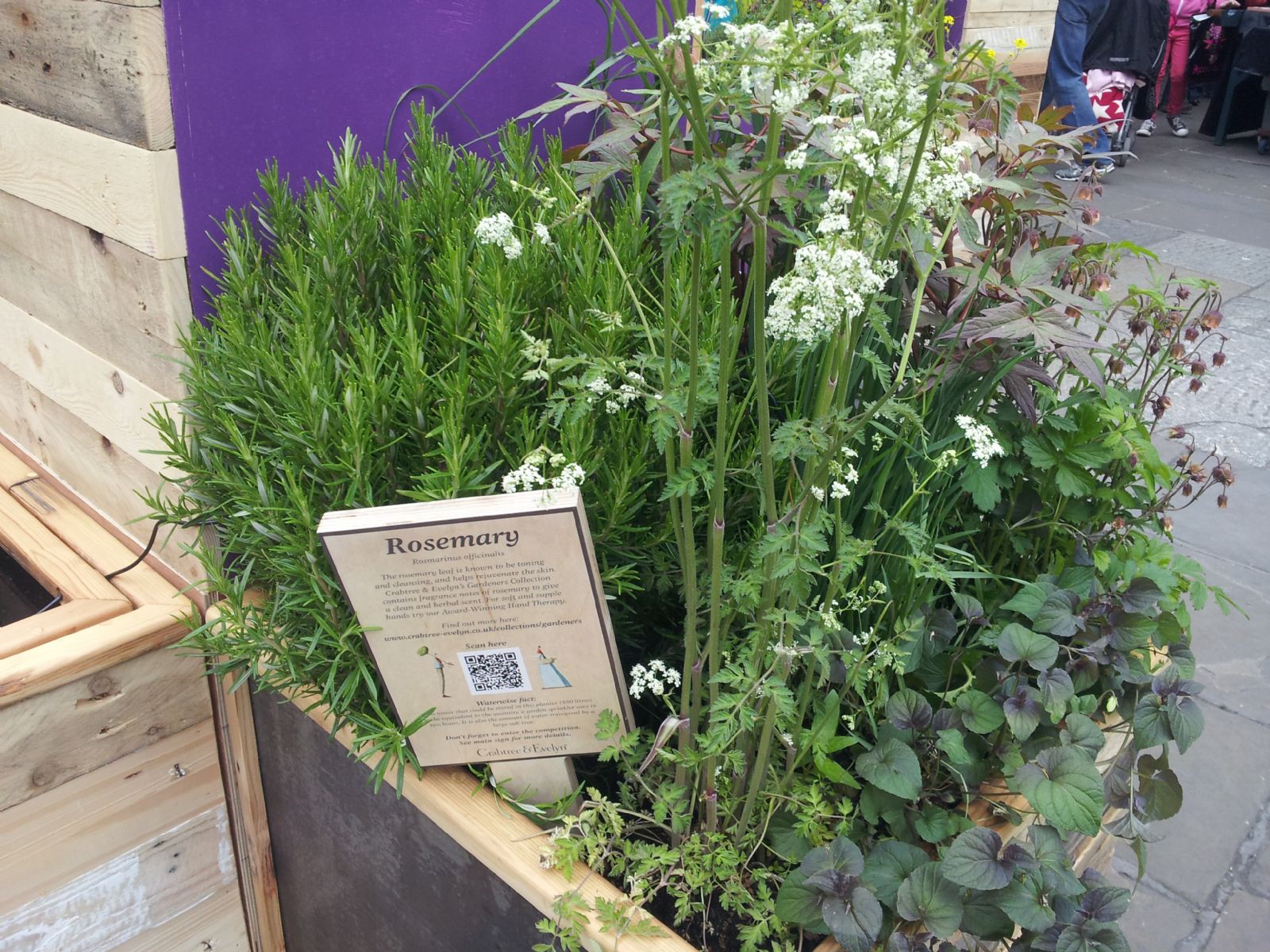 Chelsea Flower Show